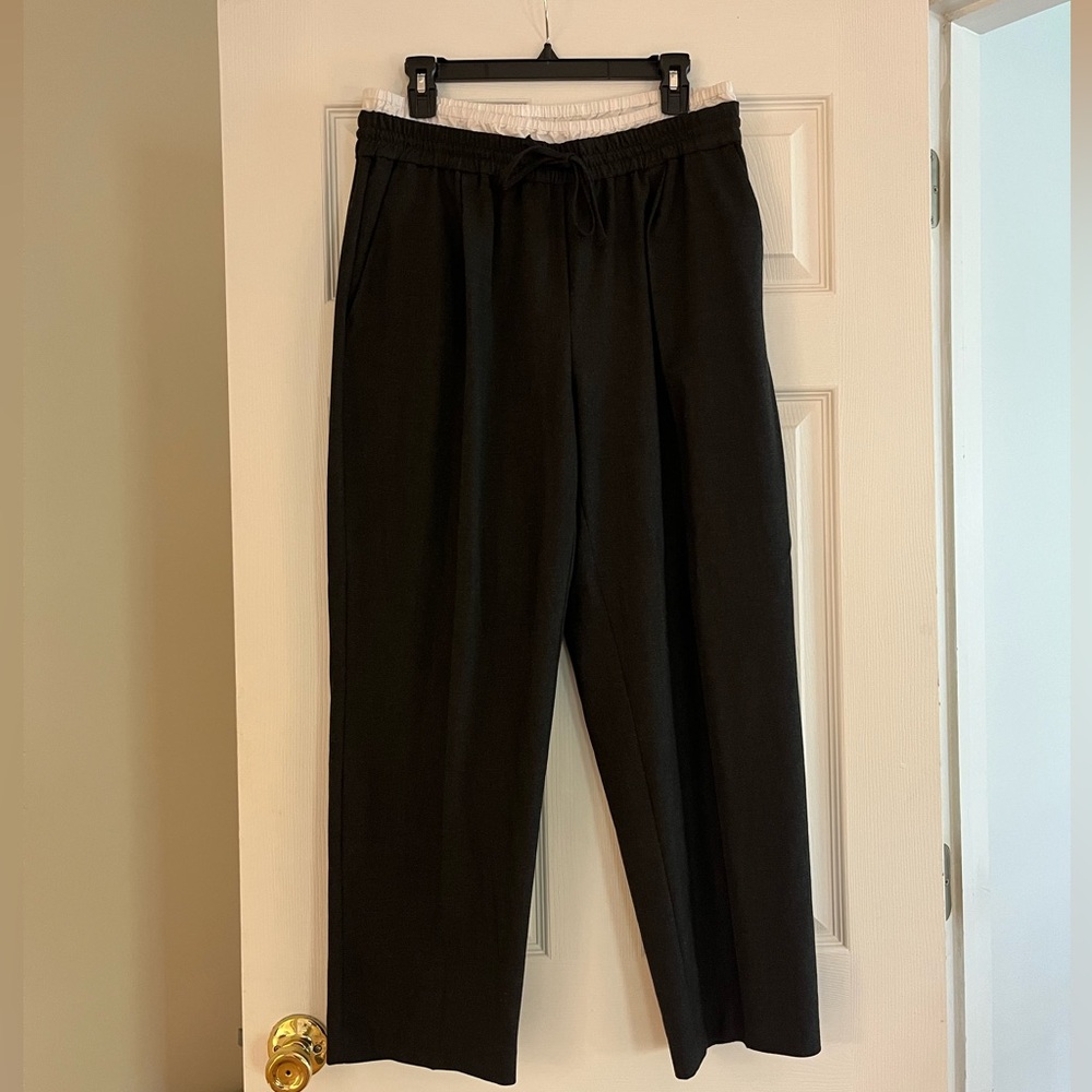 Zara Double Waistband Pleated Pants